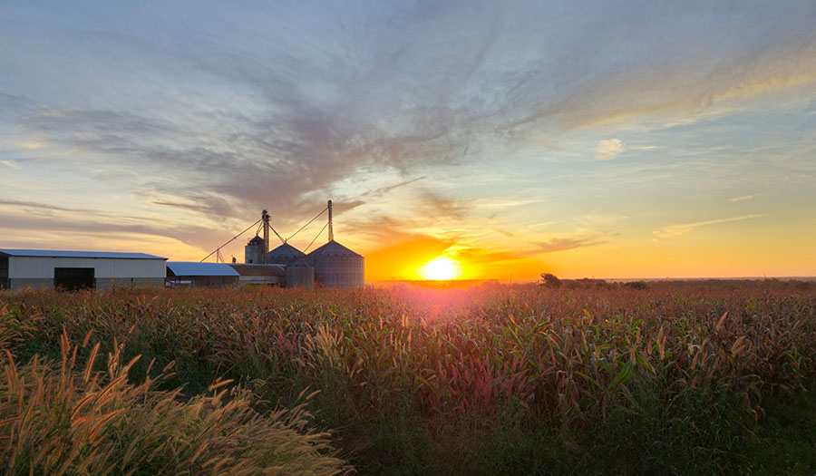Small farm with grain bins at sunset
